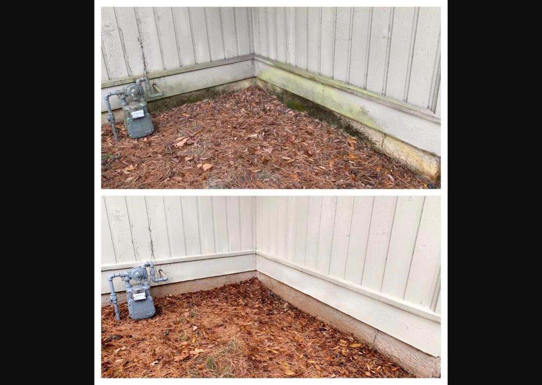 Before and after house washing showing algae removal from siding in Fernandina Beach, FL
