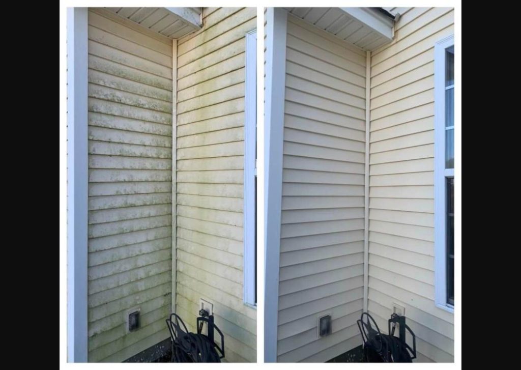 Fernandina Beach vinyl siding cleaning removing algae stains