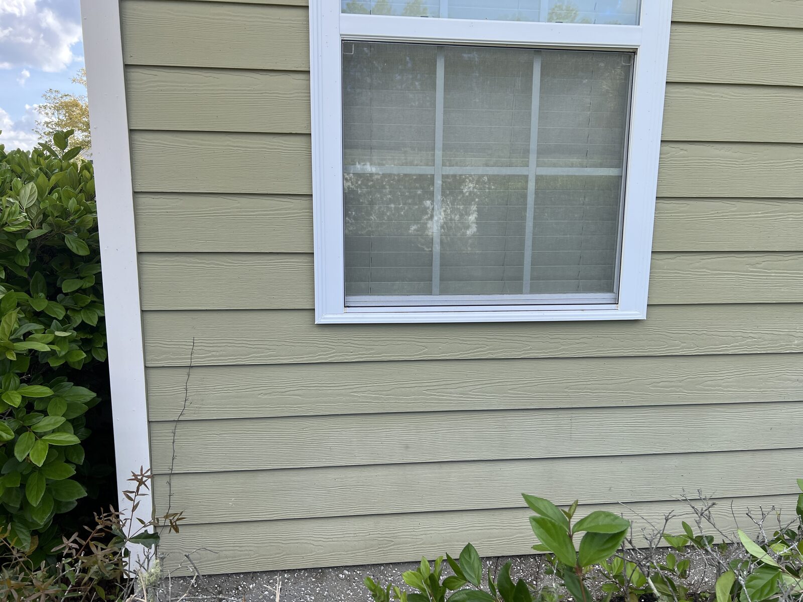 Fernandina Beach Exterior Cleaning technician soft washing house siding